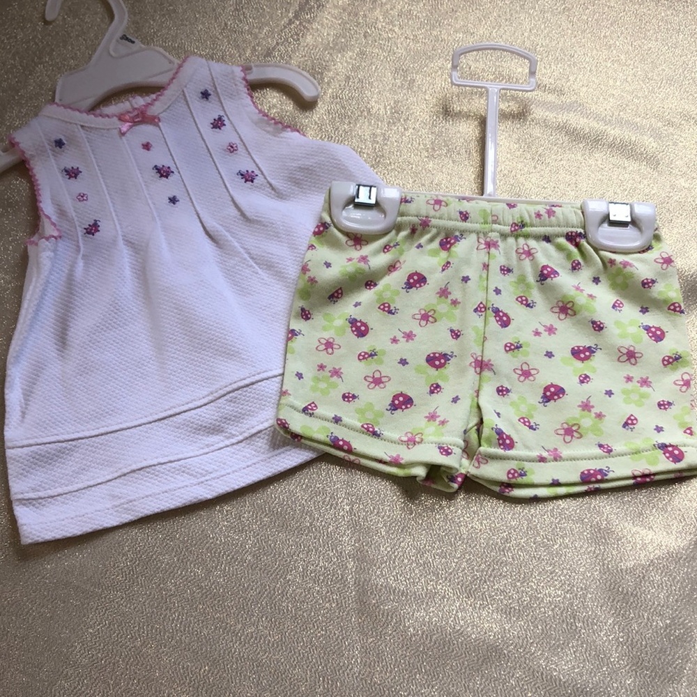NWT 0-3 months baby girl first moments ladybug and floral outfit